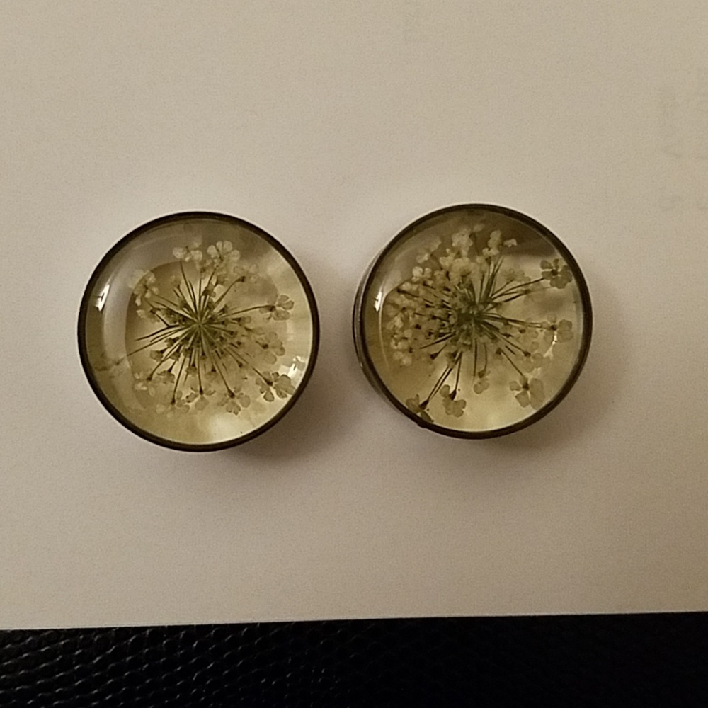 Plugs